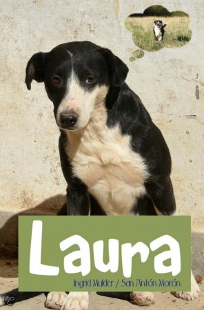 Laura (het boek)