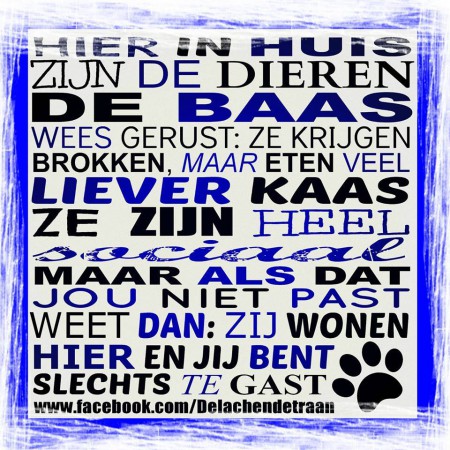 Voor onze huisdieren
